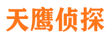 江都侦探公司